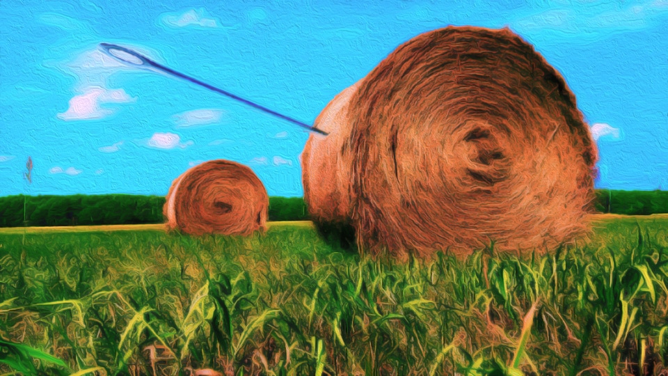 Needle in a haystack