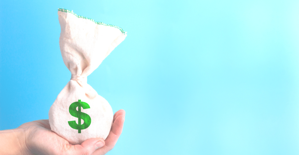 Money bag