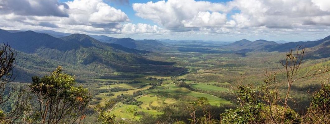 Mackay Local